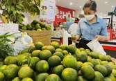 Nhiều siêu thị TP.HCM chung tay bán cam sành không lợi nhuận