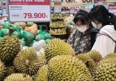 Sầu riêng có nguy cơ dội chợ sau thời gian tăng mạnh