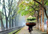 Hoa Loa kèn dịu dàng nỗi nhớ tháng Tư