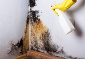 7 cách tẩy nấm mốc trần nhà đơn giản nhưng hiệu quả
