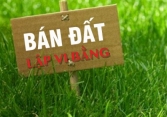 Vi bằng có giá trị pháp lý khi mua bán đất không?