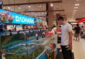 Giá nhiều loại cá nuôi tăng trở lại do nguồn cung giảm