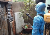 Sốt xuất huyết gia tăng: Người nhiều bệnh lý và sản phụ cần thận trọng