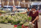 Giá thực phẩm hôm nay 8/9: Rau củ Đà Lạt tăng mạnh