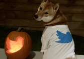 Dogecoin 'dựng cột' sau tweet của Elon Musk
