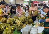 Thị trường sầu riêng bùng nổ tại Trung Quốc