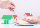 Chuyển nhượng quyền sử dụng đất
