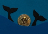 Đây là cách một cá voi Bitcoin kiếm được 179 triệu USD từ khoản đầu tư 120 USD
