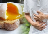 Vi khuẩn Salmonella trong mẫu bánh mì Phượng khiến hơn 140 người bị ngộ độc sinh sôi và lây nhiễm qua con đường nào?