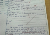 Bài kiểm tra Ngữ Văn khiến giáo viên “áp lực”, nhưng dân tình tranh cãi 1 chi tiết: Cóc hay cáo mới đúng? 