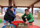 Xuân về trên làng Nủ: Ấm áp tình Đảng, nghĩa đồng bào