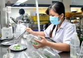 Nghiên cứu và phát triển cây trồng thông qua bảo hộ quyền sở hữu trí tuệ