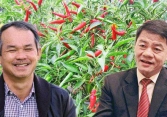 Tỷ phú Trần Bá Dương bất ngờ dừng đầu tư vào HAGL Agrico