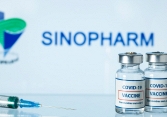Hải Phòng mượn tạm 500.000 liều vaccine Sinopharm