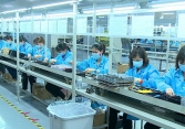 Kinh tế TP HCM đều gặp khó khăn, giảm sút