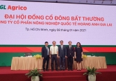 Cổ phiếu Hoàng Anh Gia Lai - HAGL Agrico (HNG) từ diện kiểm soát sang diện cảnh báo