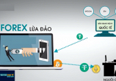 Rất nhiều sàn ngoại hối “đầu tư chứng khoán”, “đầu tư Forex” hay “đầu tư thông minh” lừa đảo từ vài trăm triệu đến hàng tỷ đồng