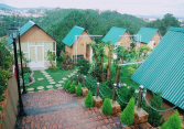 Đầu tư Homestay lao đao
