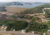 Dự án Sài Gòn - Đại Ninh làm mất 257ha đất rừng tự nhiên