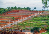 Tình trạng phân lô, tách thửa đất nông nghiệp trái pháp luật vẫn diễn ra