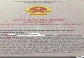 Mảnh đất 1.000m2 có đến 150 người đồng sở hữu 'sổ đỏ'