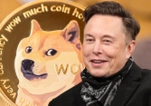 CEO Tesla nhiều lần ca tụng Dogecoin và chính thức cho thanh toán từ hôm nay