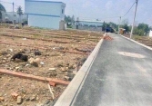 Hiện tượng đổ xô đi đấu giá, đầu cơ, cùng những ồn ào về phân lô bán nền