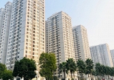 Giá nhà cao vẫn không thấy 'đỉnh'