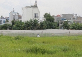 Luật phải ích nước, lợi nhà, bảo đảm tính ổn định, bền vững