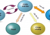 Cung cấp dữ liệu tài nguyên, môi trường phục vụ người dân, doanh nghiệp