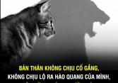 Tự tin mình giỏi mấy cũng phải nhớ những điều này