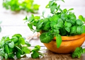 10 thực phẩm có thể giúp bạn chống đầy hơi một cách tốt nhất 