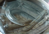 Giá thực phẩm ngày 9/6: Cá kèo 180.000 đồng/kg