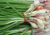 Giá thực phẩm ngày 26/6: Hành lá giá 60.000 đồng/kg