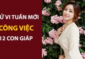 Tử vi tuần mới (10-16/6/2019) về công việc của 12 con giáp: Tý thuận lợi, Dần mọi thứ trọn vẹn