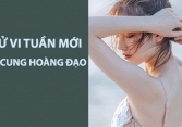Tử vi tuần mới (17-23/6/2019) của 12 cung hoàng đạo: Kim Ngưu tham vọng, Song Ngư được thăng chức