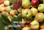 Cách phân biệt trái cây Trung Quốc đang bán khắp vỉa hè, sạp chợ