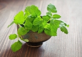 Gợi ý những loại cây trồng trong nhà có nhiều lợi ích không ngờ