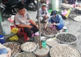 Giá hải sản tiếp tục giảm sau dịp lễ 2/9