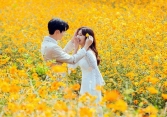 Tử vi tình yêu 12 cung hoàng đạo 3/8/2019: Song Ngư không mới để nới cũ, Xử Nữ nên sử dụng lí trí