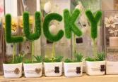 Bật mí các dãy số may mắn cho 12 cung hoàng đạo