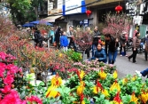 Chính thức chốt lịch nghỉ Tết Nguyên đán Canh Tý 7 ngày