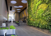 Năm 2020, bùng nổ phong cách biophilic trong thiết kế nhà ở 
