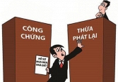 Đất không có sổ đỏ có thể lập vi bằng để mua được không?