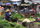 Rau xanh và cá biển đồng loạt tăng giá do mưa bão