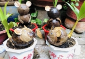 Dừa bonsai hình chuột độc đáo hút khách Sài Gòn