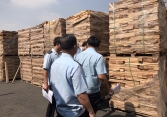 Hải quan TP.HCM phát hiện lô hàng trốn thuế trị giá hơn 11 tỷ đồng