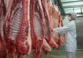 Việt Nam nhập khẩu trên nửa triệu con heo từ Thái Lan