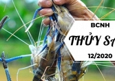 Báo cáo ngành hàng thủy sản tháng 12/2020: Xuất khẩu giảm về lượng và trị giá
