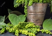Giá tiêu đồng loạt giảm, doanh nghiệp cùng đại lý tích cực gom hàng